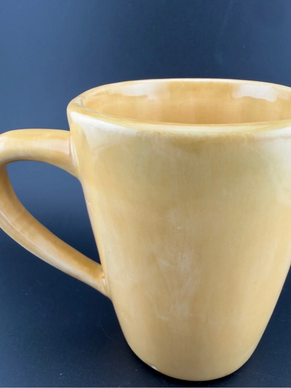 Pottery Barn Yellow/Gold Sausalito Ridge Ceramic Coffee Mug